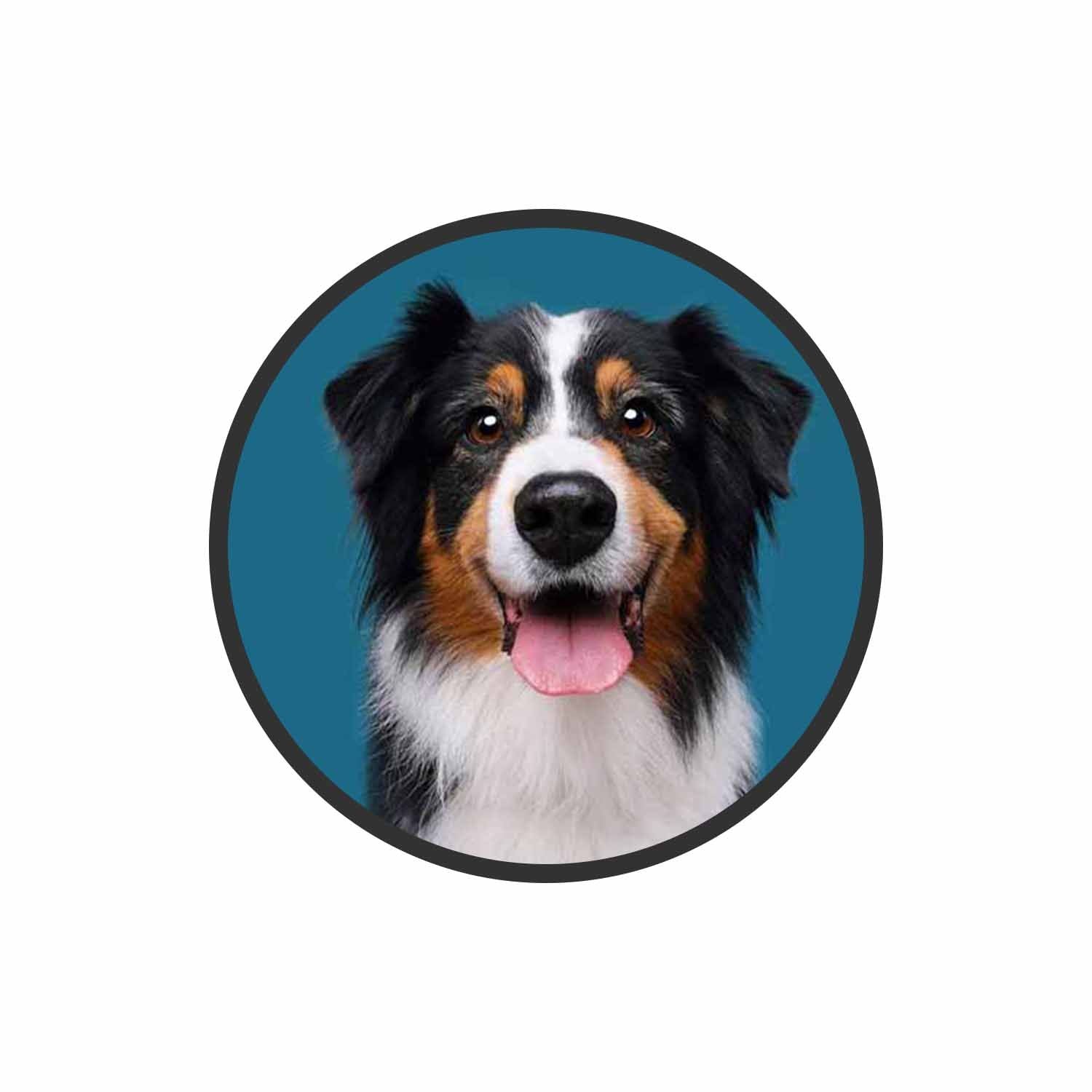 Australian Shepherd Phone Grips Holder