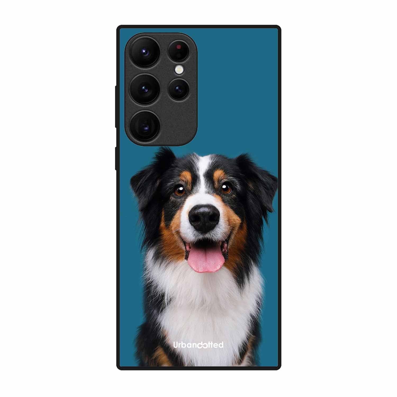 Aussie Shepherd Smile Glass Case For Samsung S22 Ultra 5G