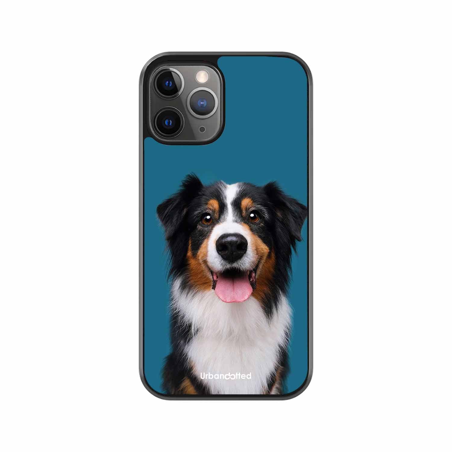 Aussie Shepherd Smile Glass Case For iPhone 11 Pro Max