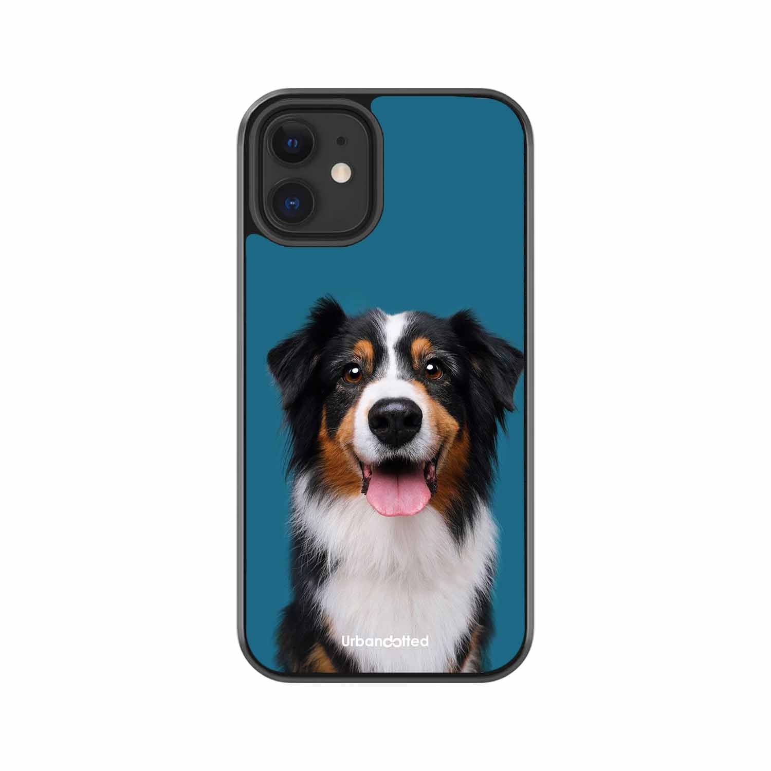 Aussie Shepherd Smile Glass Case For iPhone 12 Mini