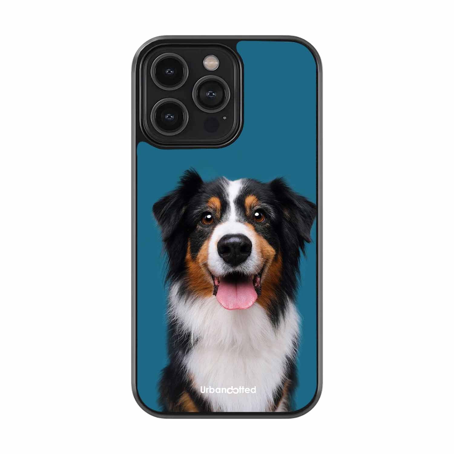 Aussie Shepherd Smile Glass Case For iPhone 13 Pro