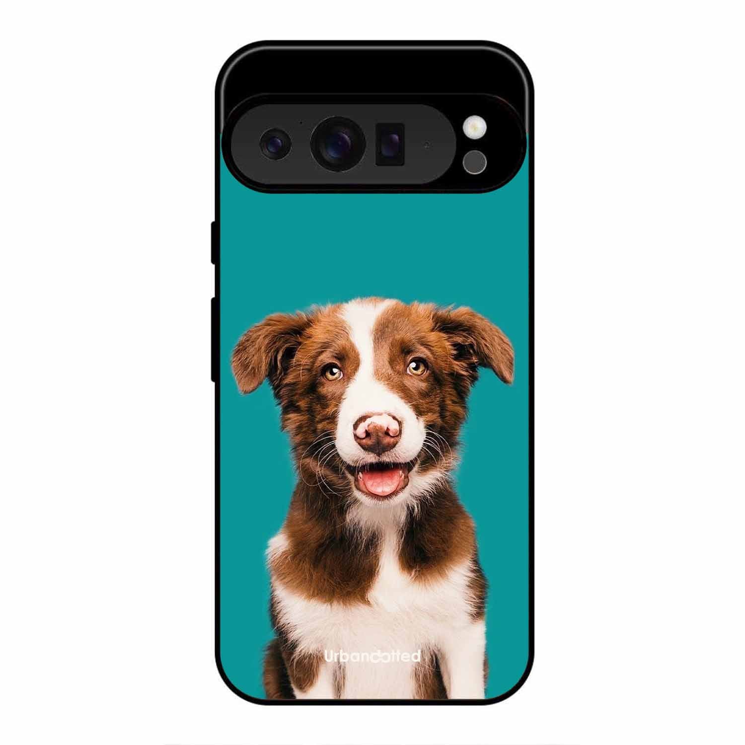 Smiling Dog Portrait Glass Case For Google Pixel 9 Pro