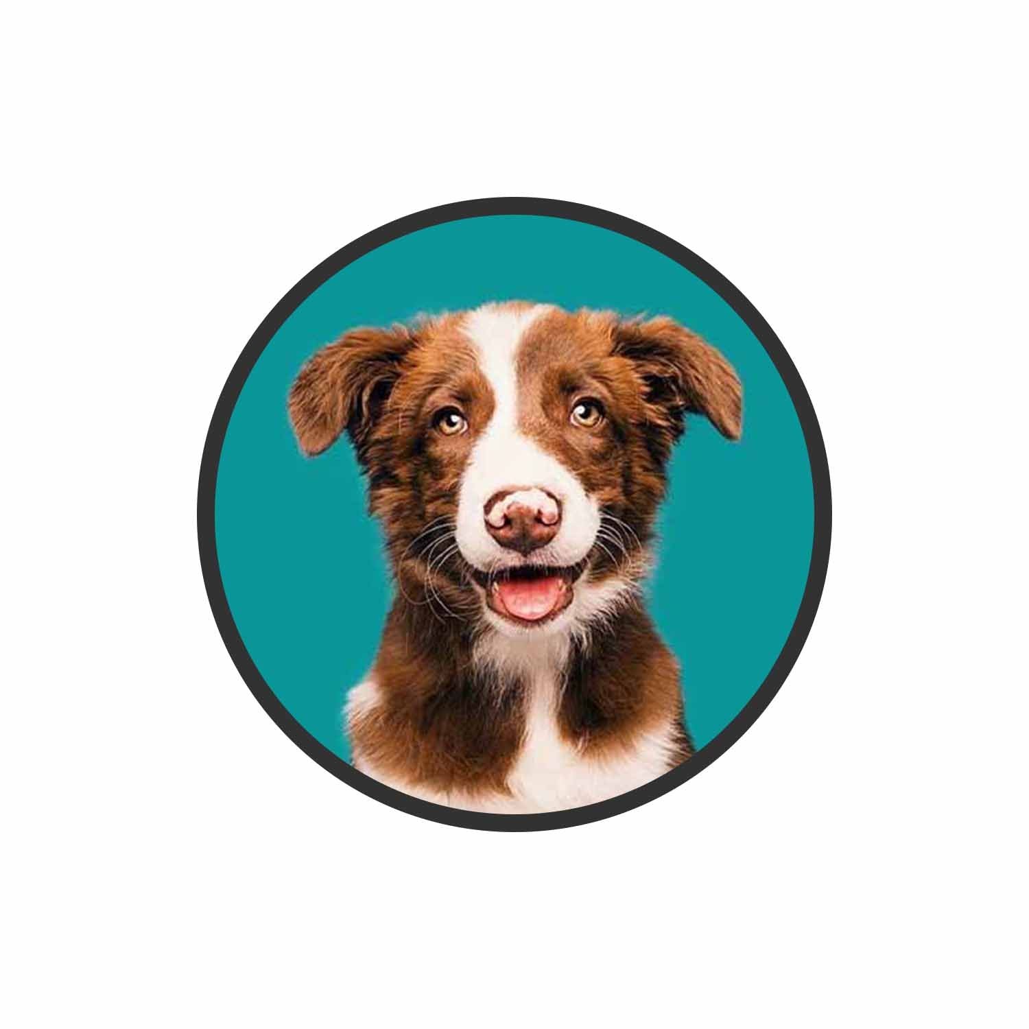 Happy Border Collie Phone Grips Holder