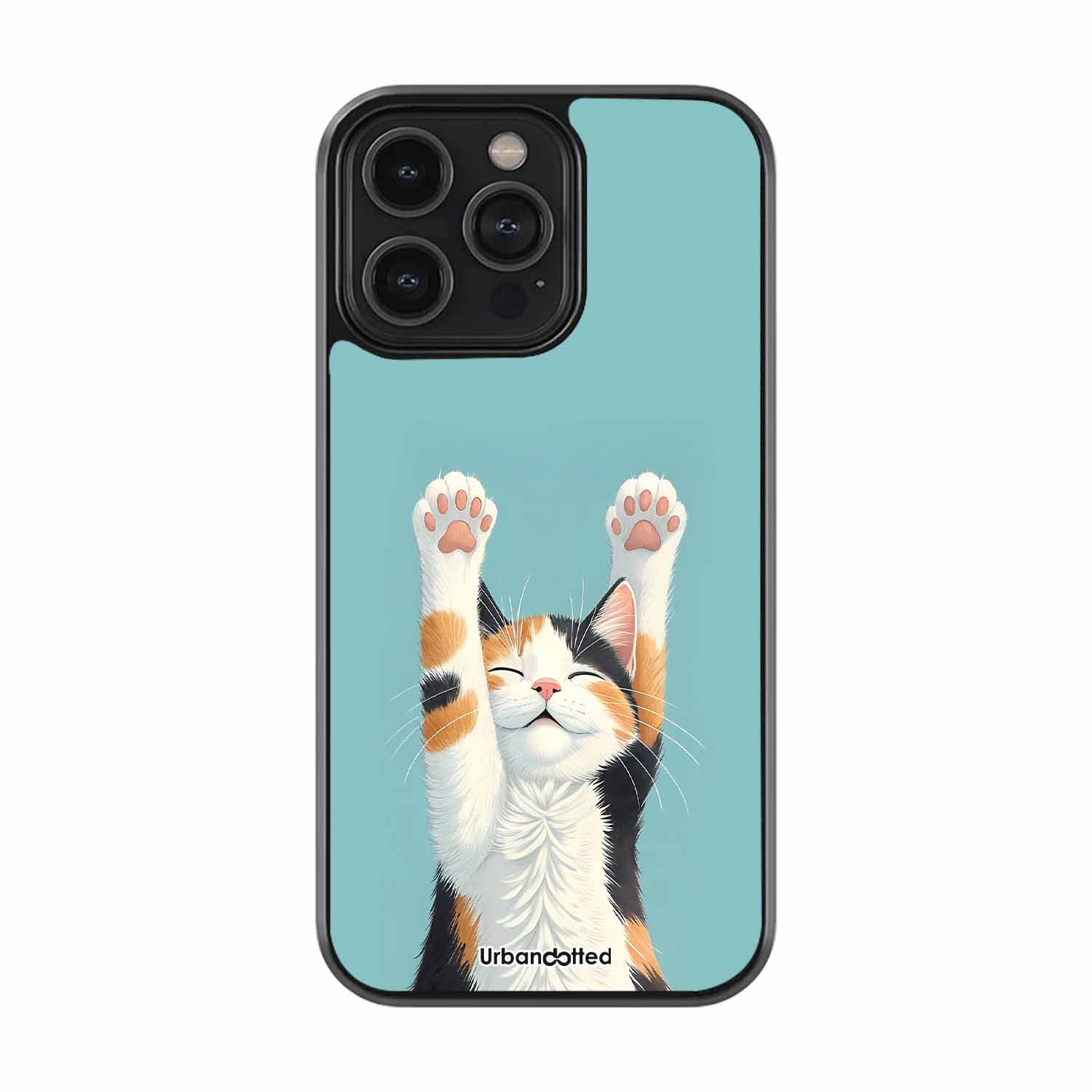 Happy Kitty Reaching Up Pet Glass Case