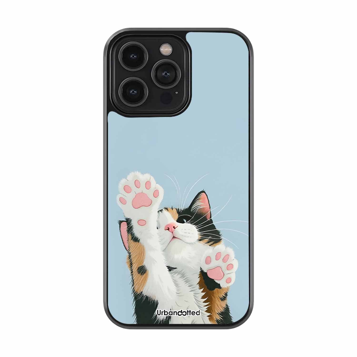 Playful Kitty High Five Paws Pet Glass Case