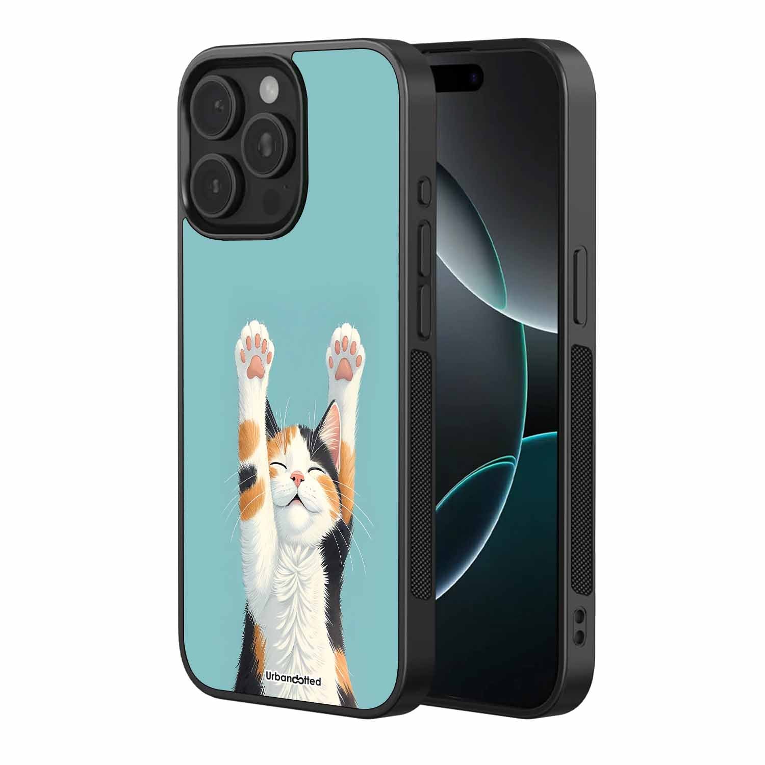 Happy Kitty Reaching Up Pet Glass Case