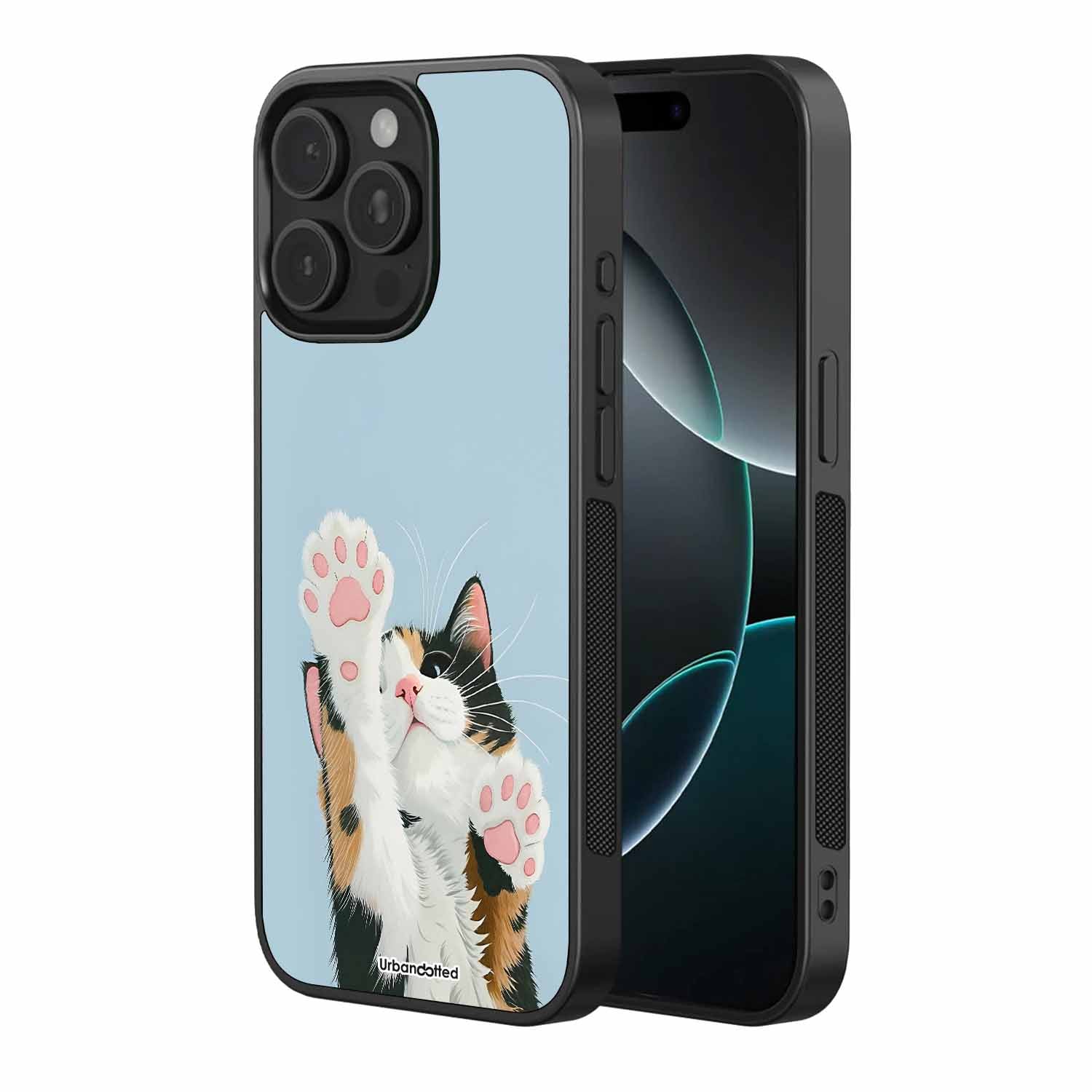 Playful Kitty High Five Paws Pet Glass Case