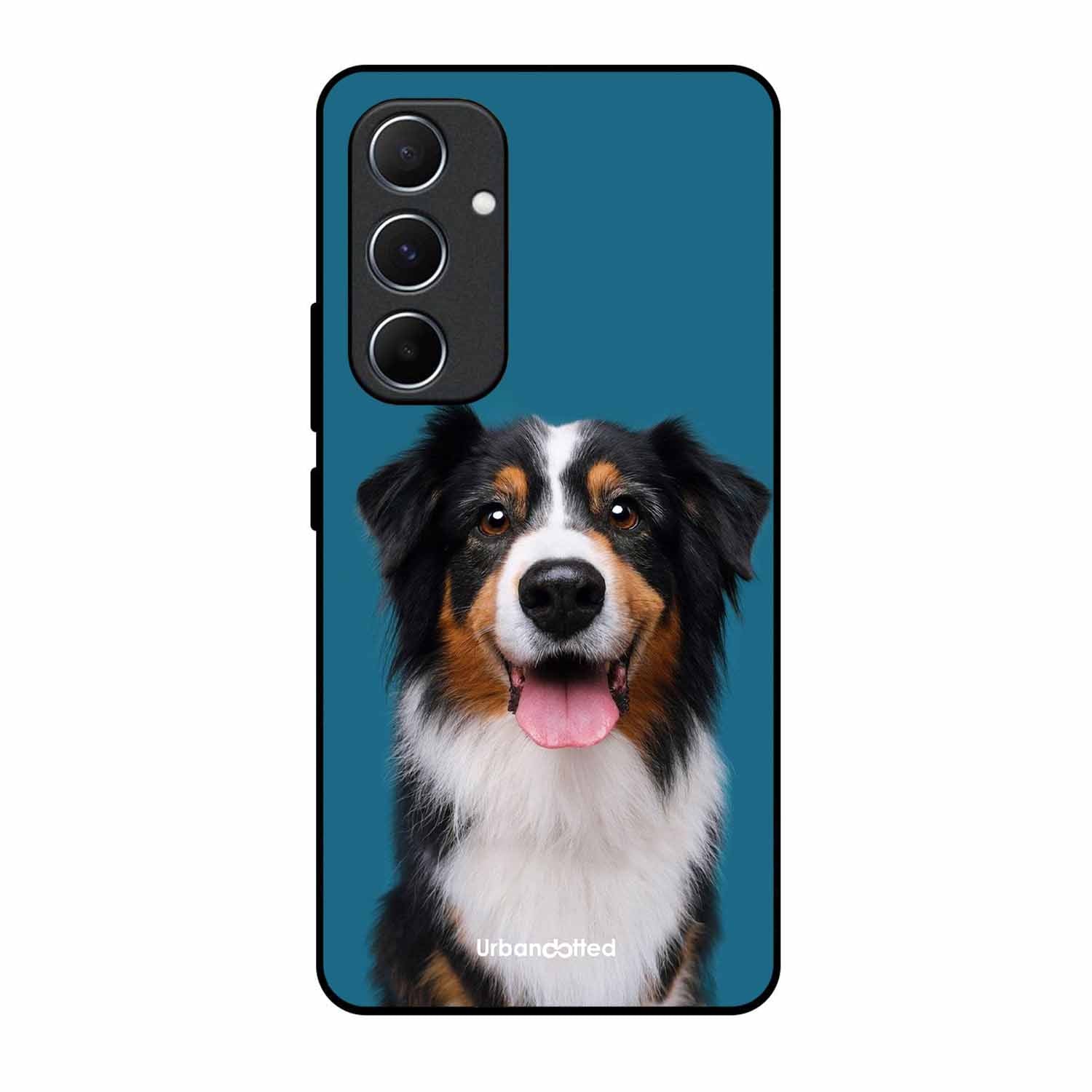 Aussie Shepherd Smile Glass Case For Samsung A55