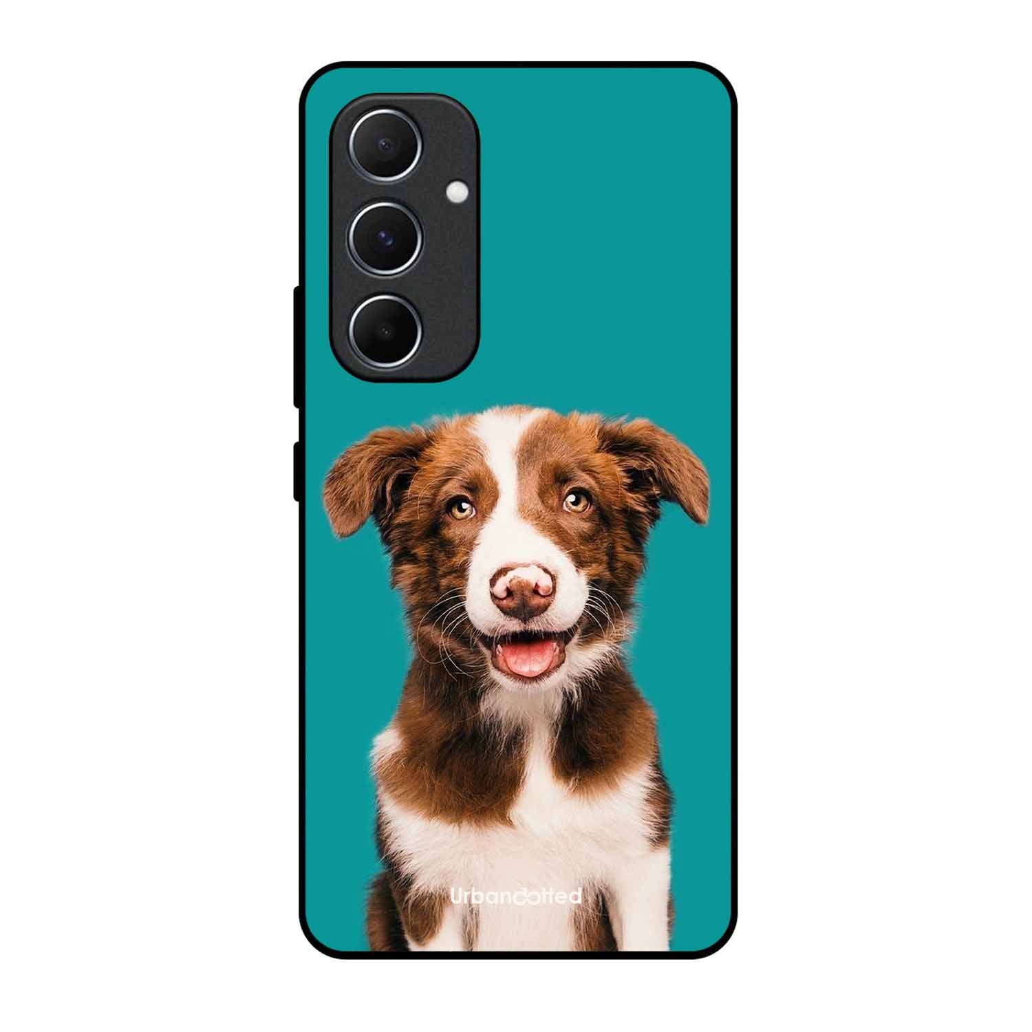 Smiling Dog Portrait Glass Case For Samsung A55