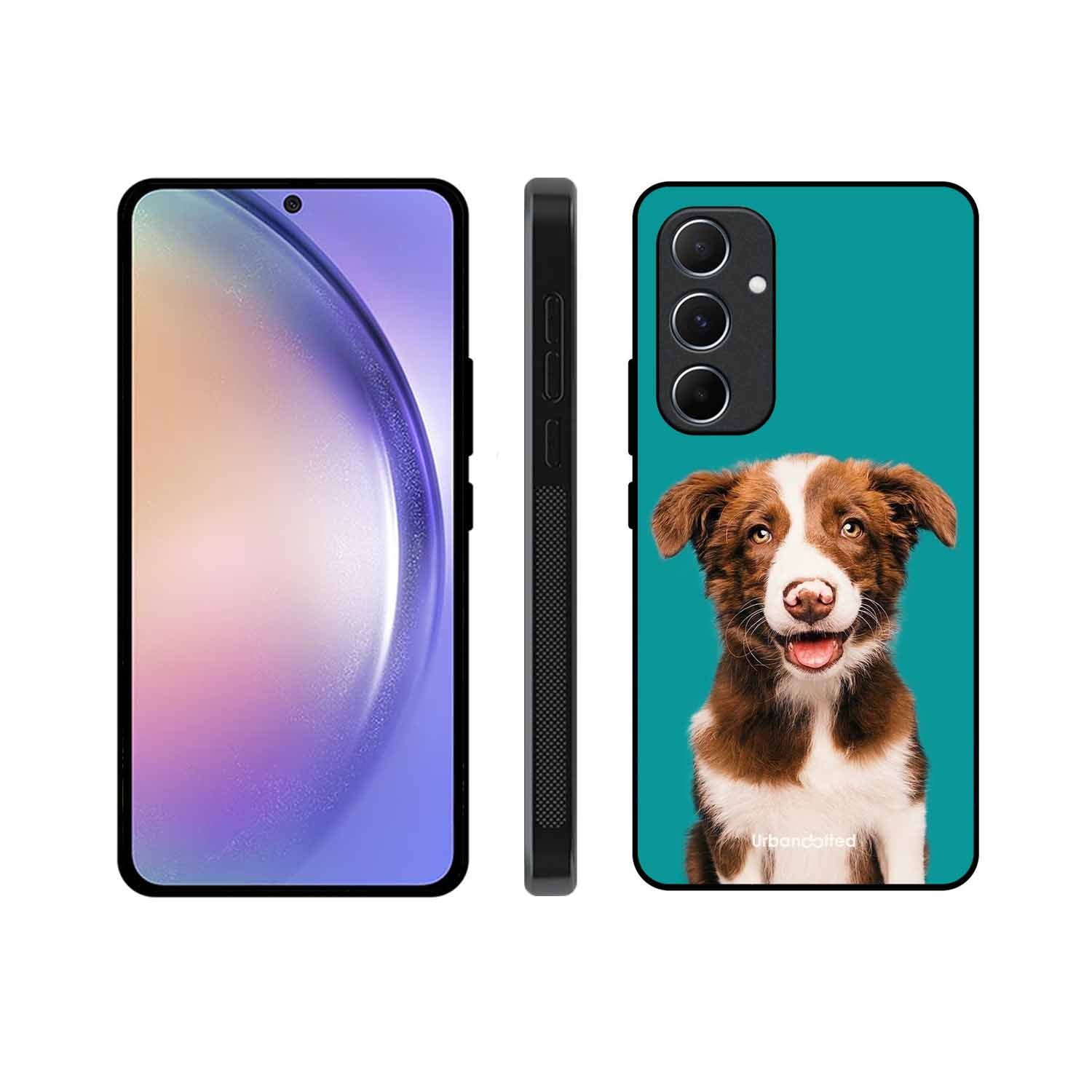 Smiling Dog Portrait Glass Case For Samsung A55