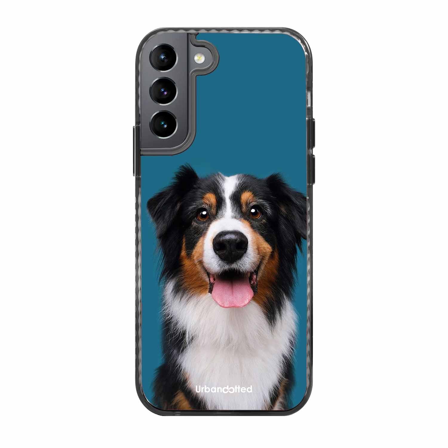 Aussie Shepherd Smile Glass Case For Samsung S22 Plus 5G