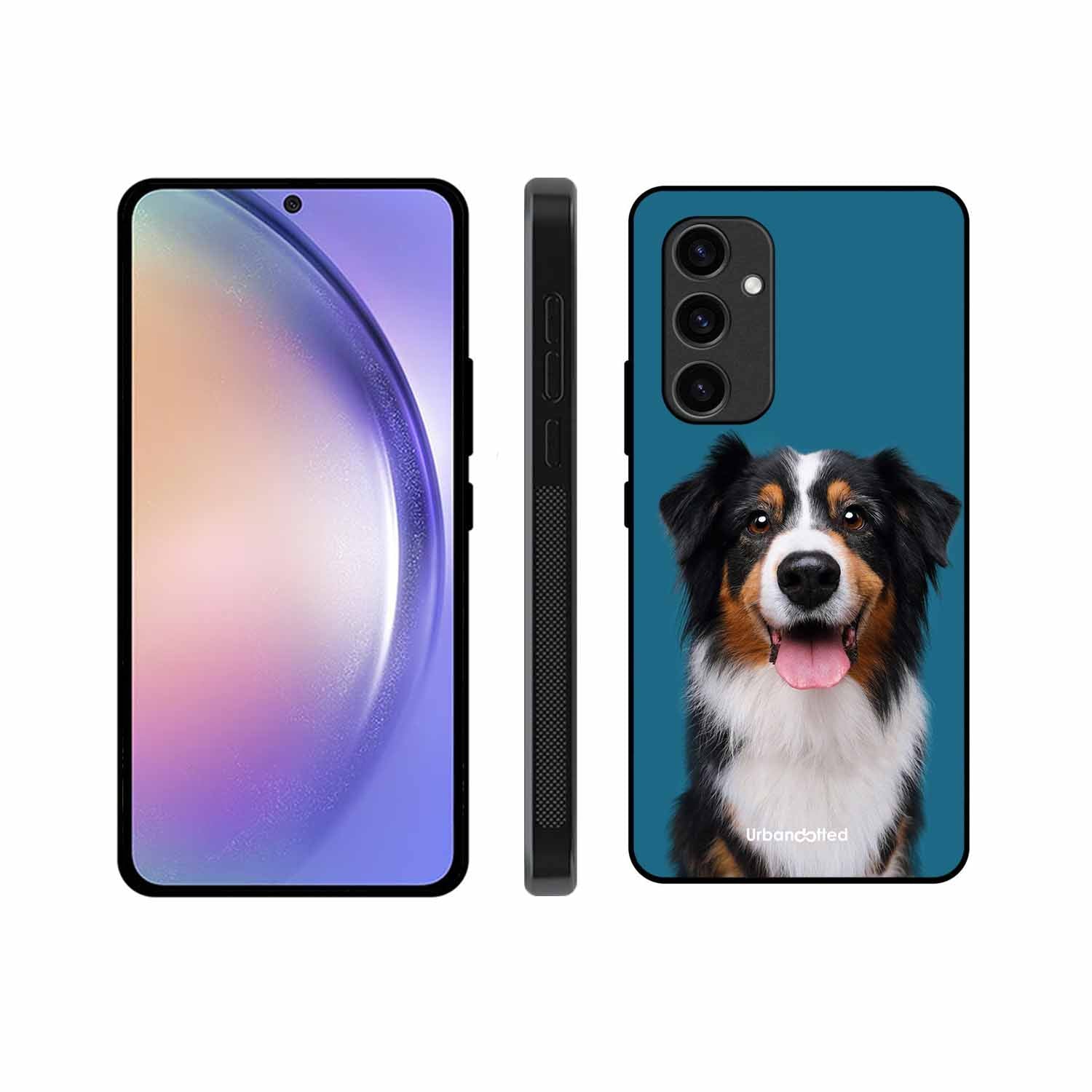 Aussie Shepherd Smile Glass Case For Samsung S24 Plus