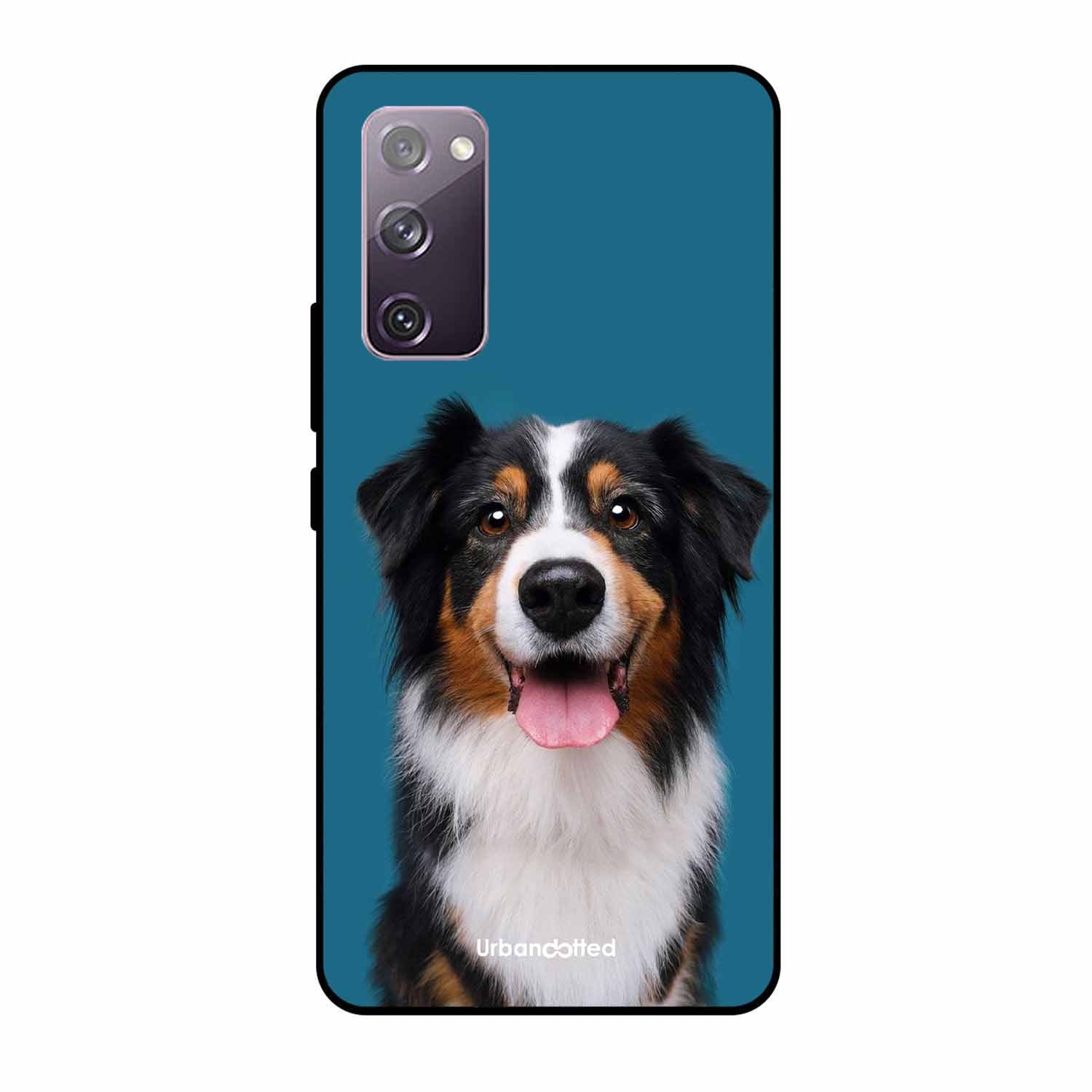 Aussie Shepherd Smile Glass Case For Samsung S20 FE