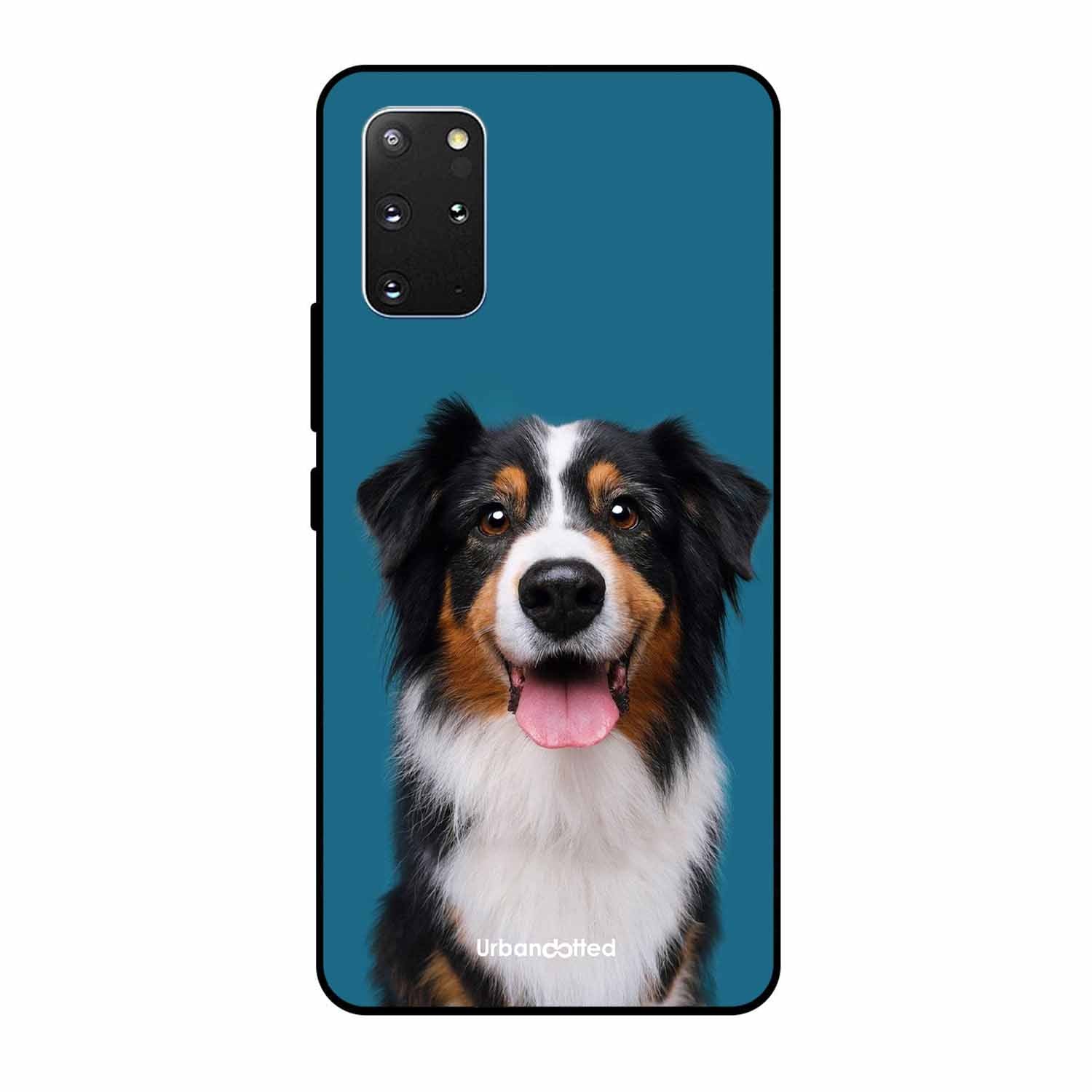 Aussie Shepherd Smile Glass Case For Samsung S20 Plus