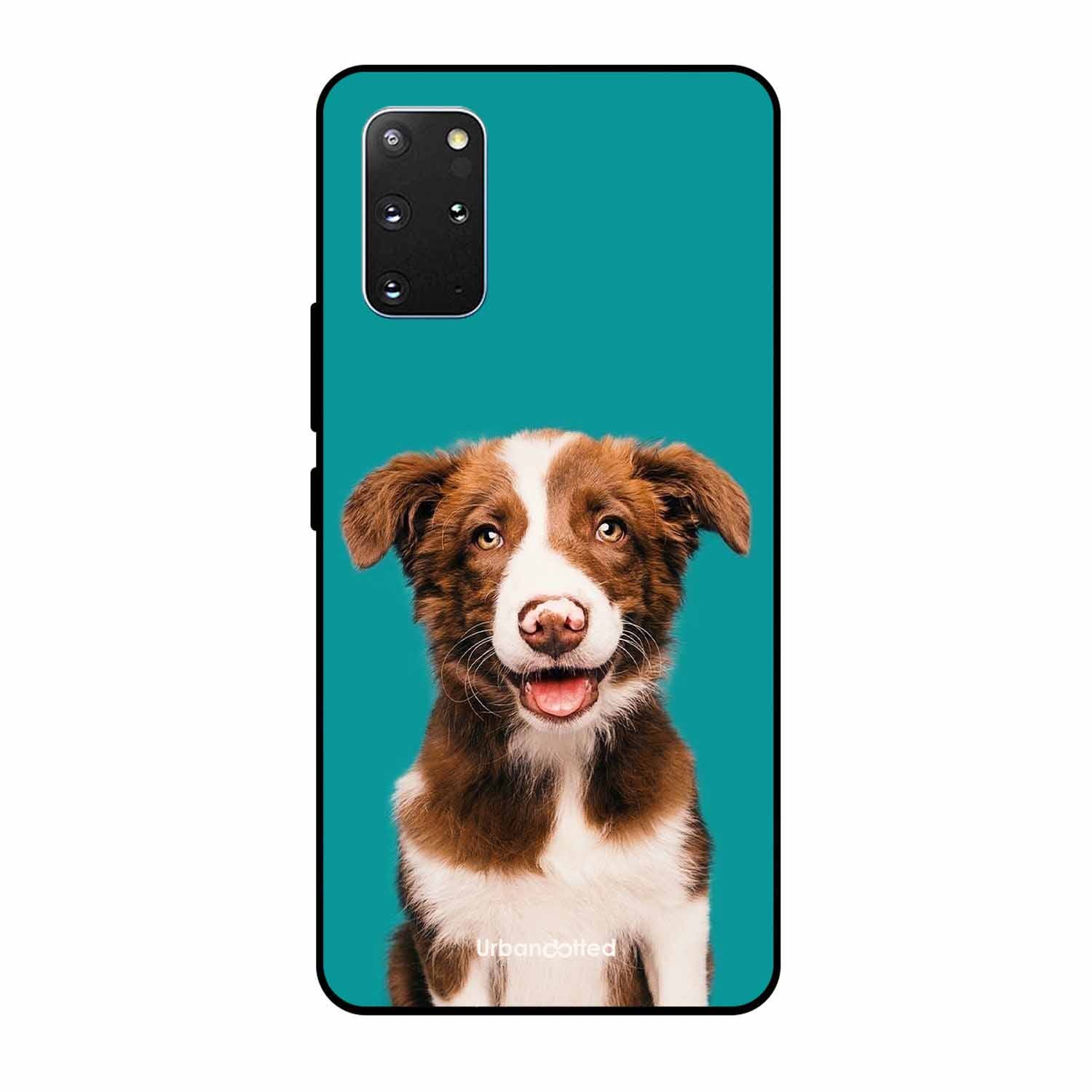 Smiling Dog Portrait Glass Case For Samsung S20 Plus