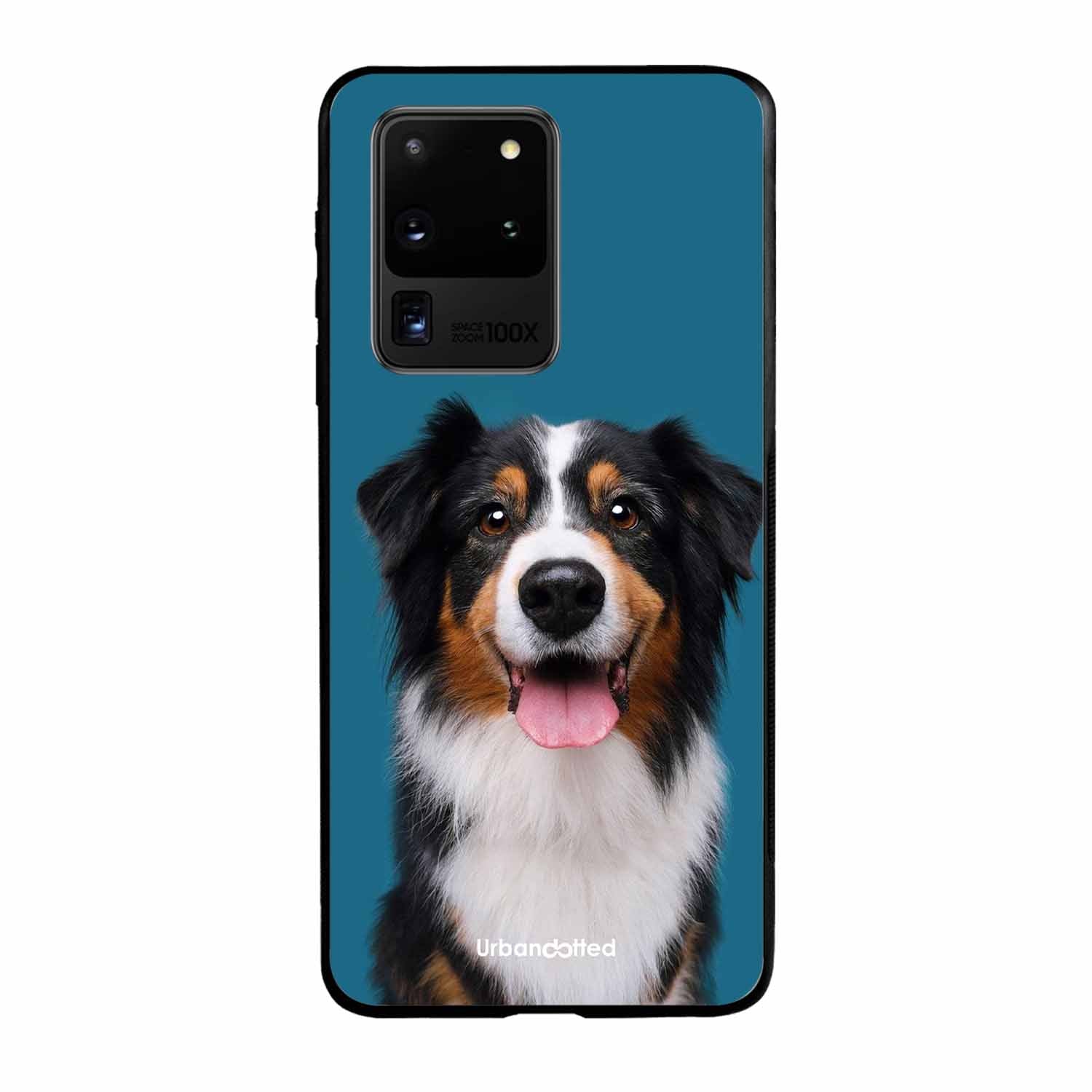 Aussie Shepherd Smile Glass Case For Samsung S20 Ultra