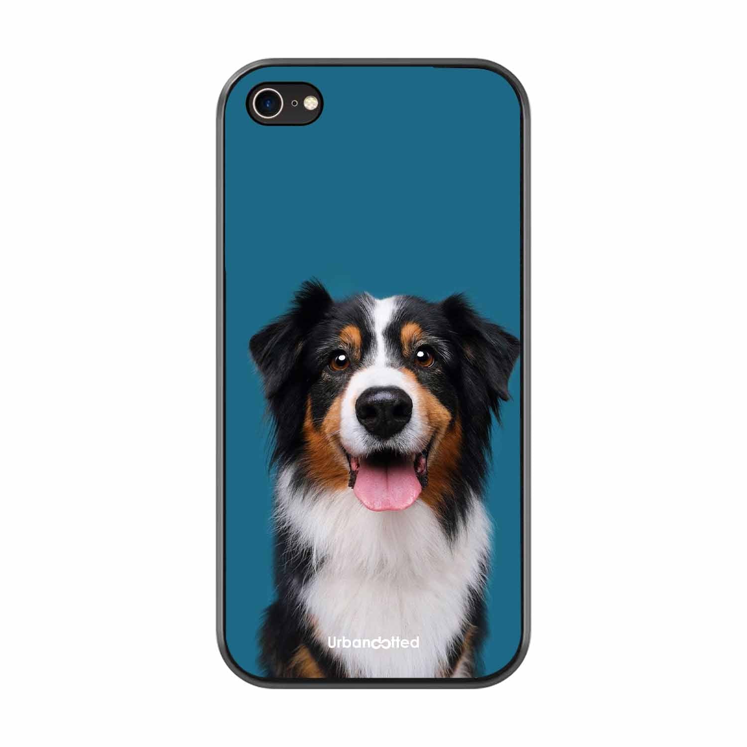 Aussie Shepherd Smile Glass Case For iPhone 7