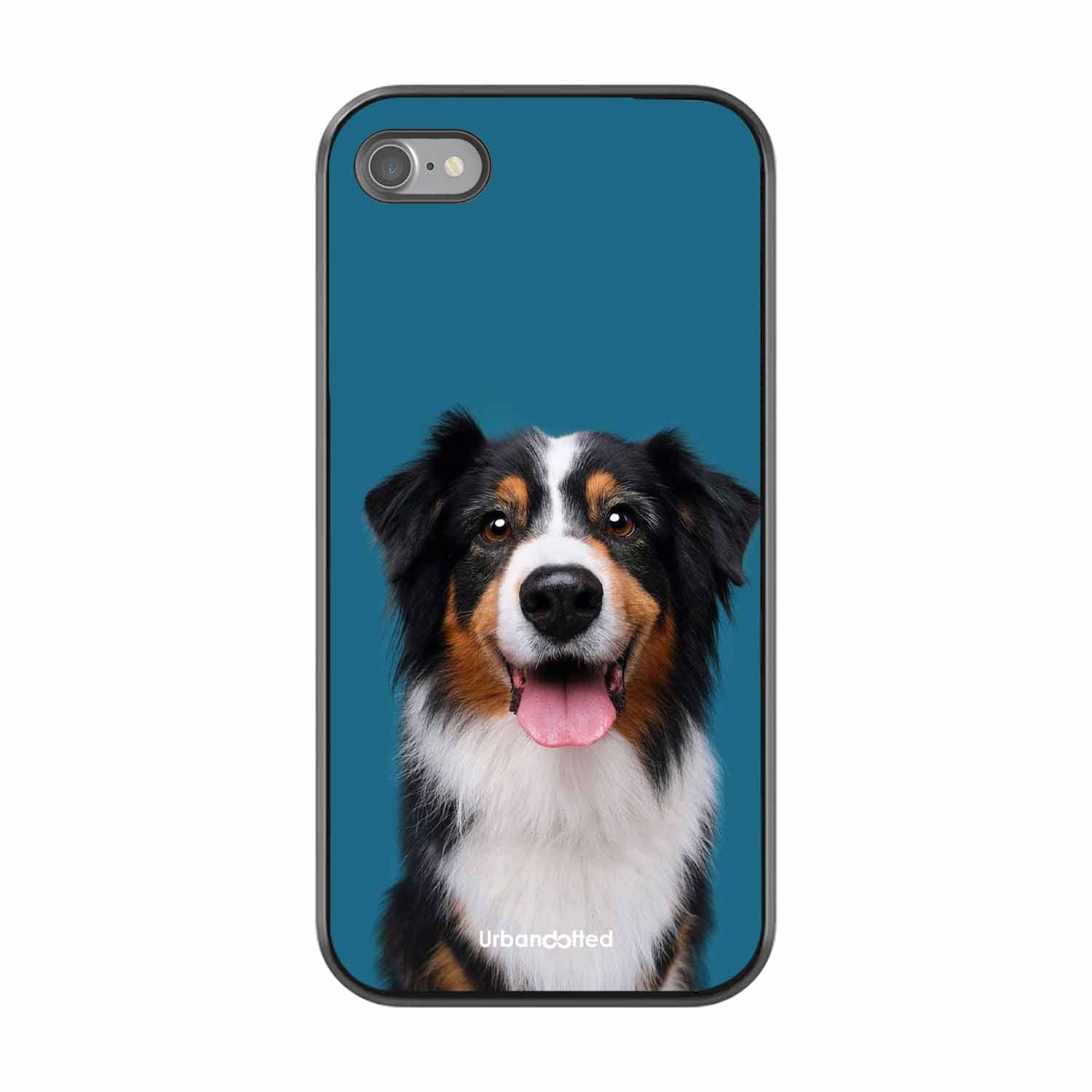 Aussie Shepherd Smile Glass Case For iPhone SE 2022