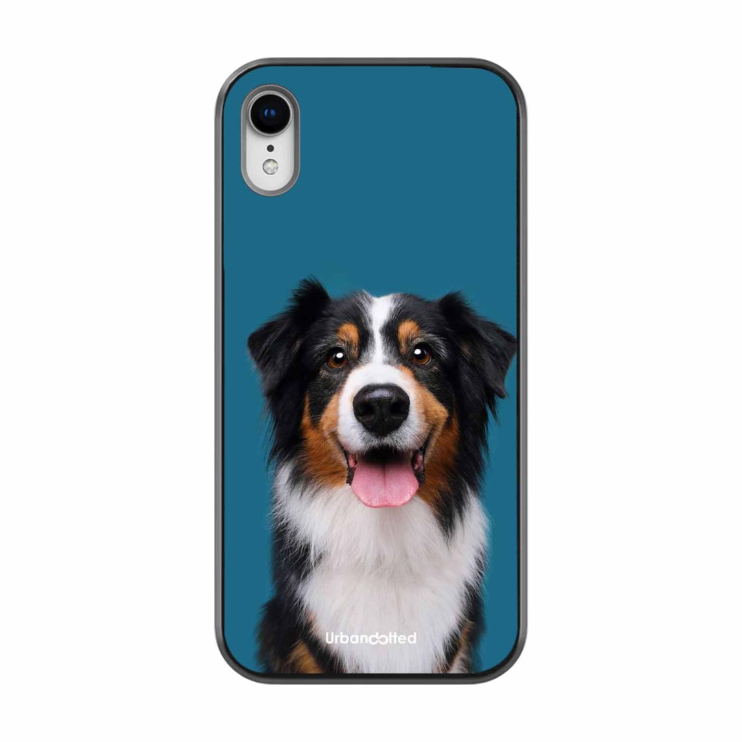 Aussie Shepherd Smile Glass Case For iPhone XR