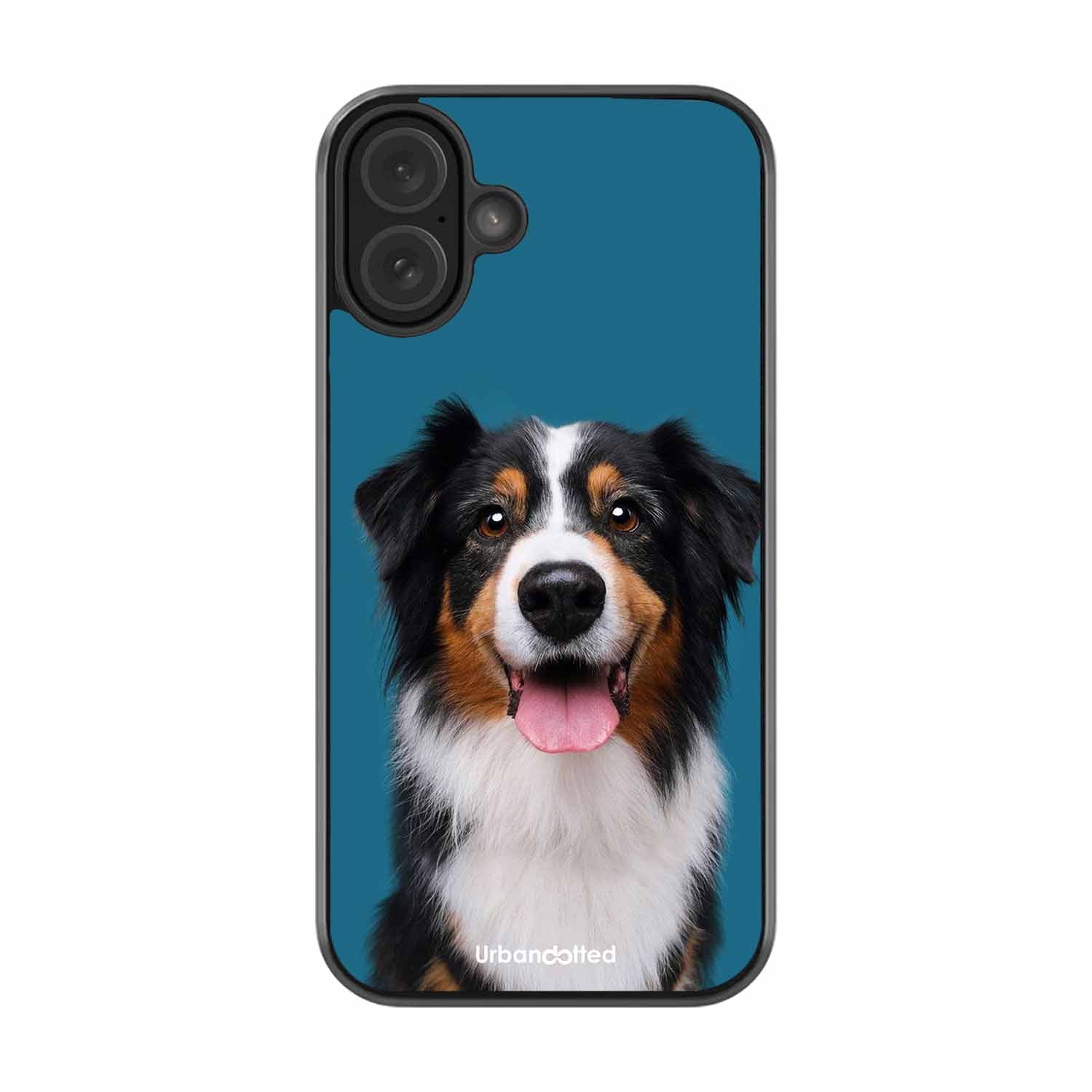 Aussie Shepherd Smile Glass Case For iPhone 16 Plus