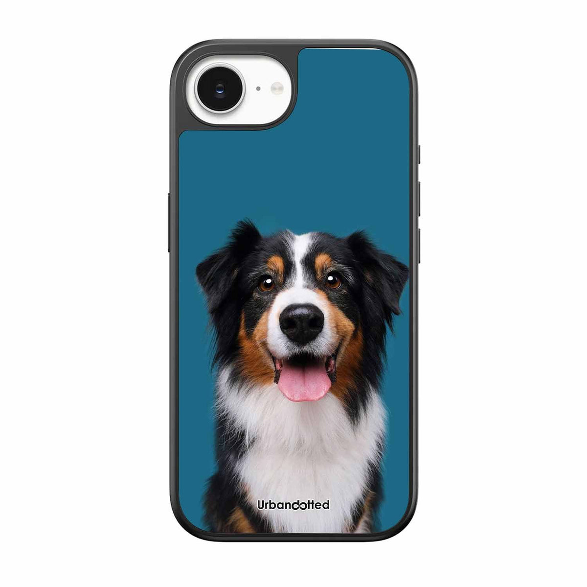 Aussie Shepherd Smile Glass Case For iPhone 17e