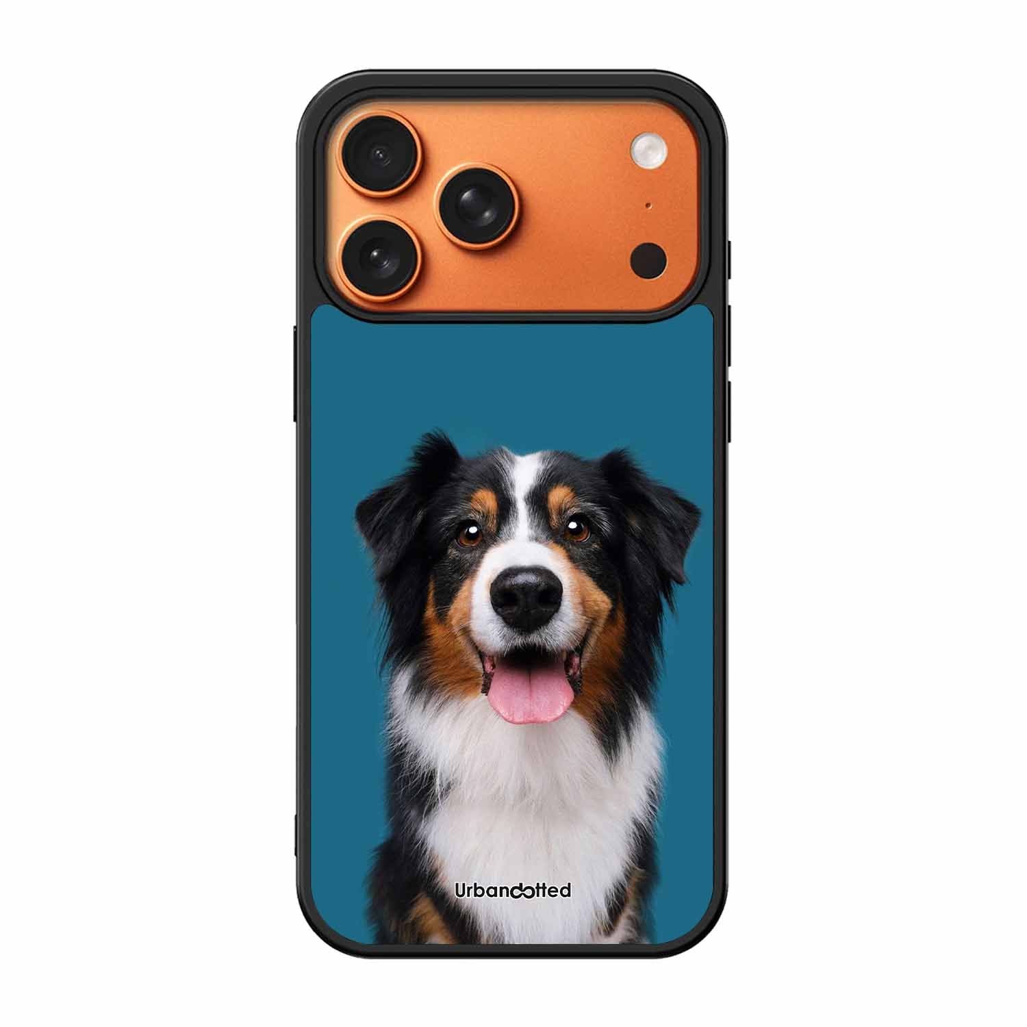 Aussie Shepherd Smile Glass Case For iPhone 17 Pro Max