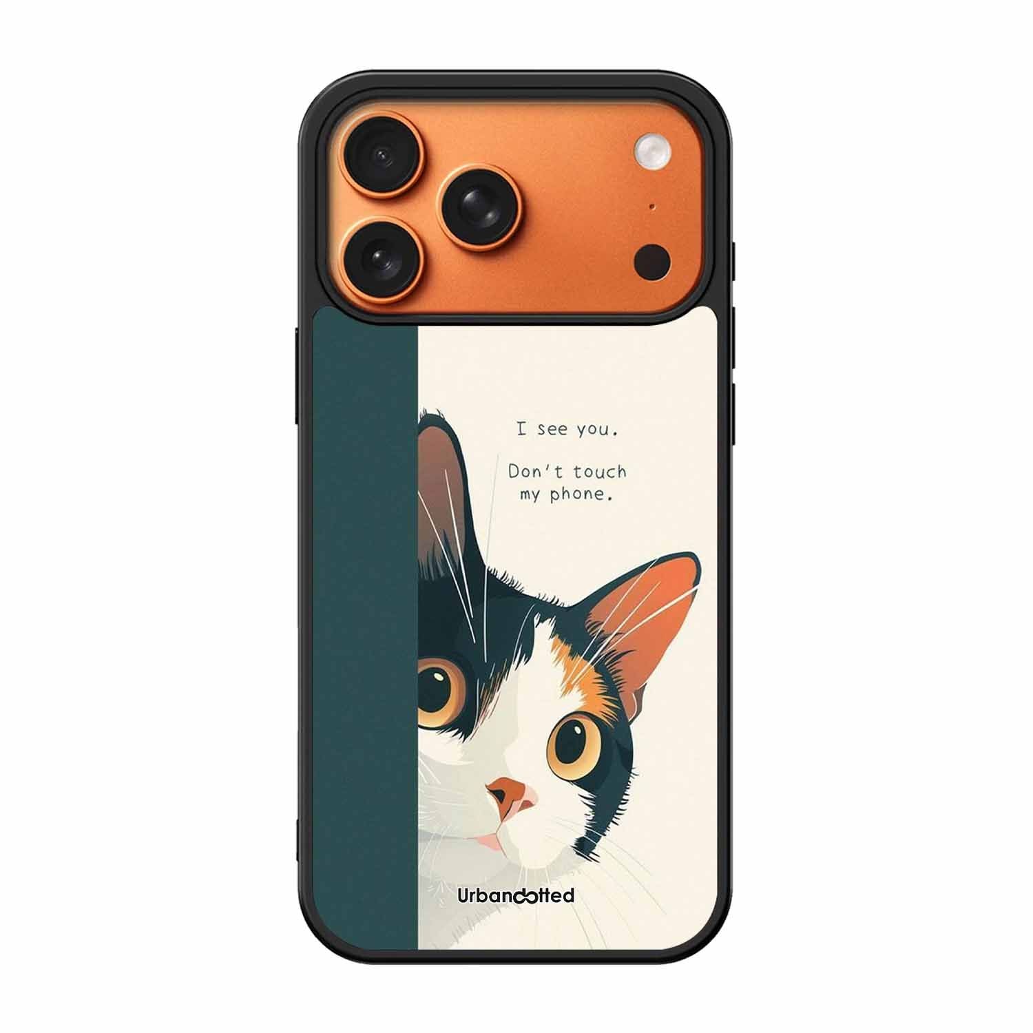 No Touch My Phone Cat Glass Case For iPhone 17 Pro Max